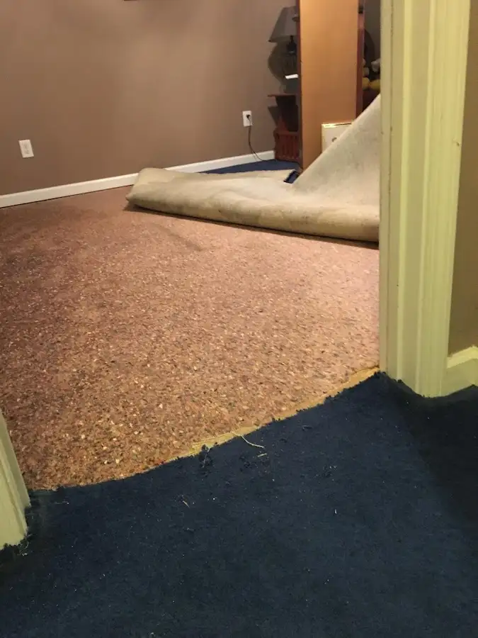 Carpet pad removal revealing water damage during Drying & Dehumidification in Gloucester