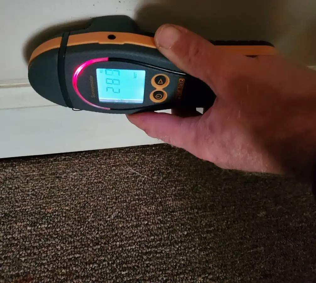 Moisture detection at baseboard during Mold Inspection & Testing in Gloucester